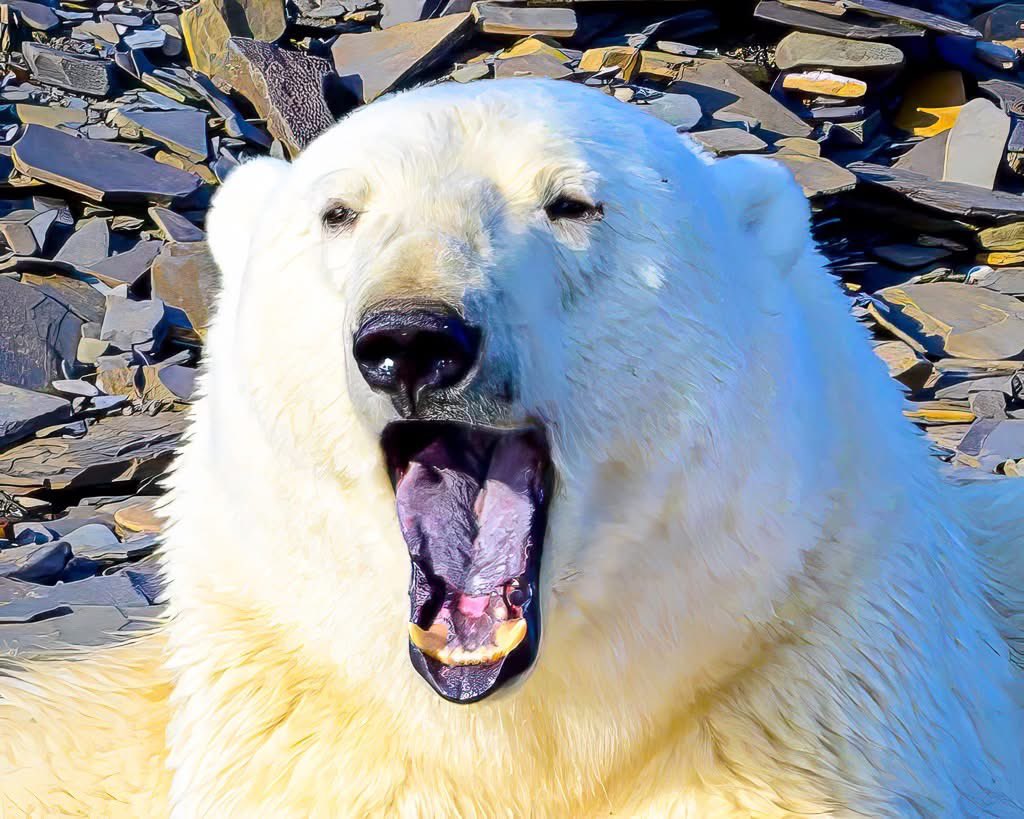 Third Age Expeditions ✈ tweet media