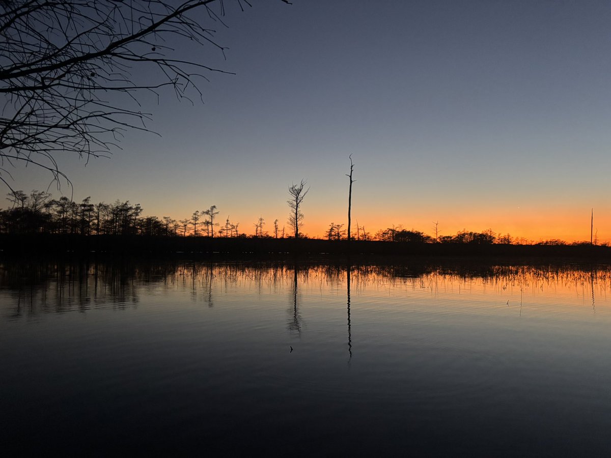 jason cates tweet media