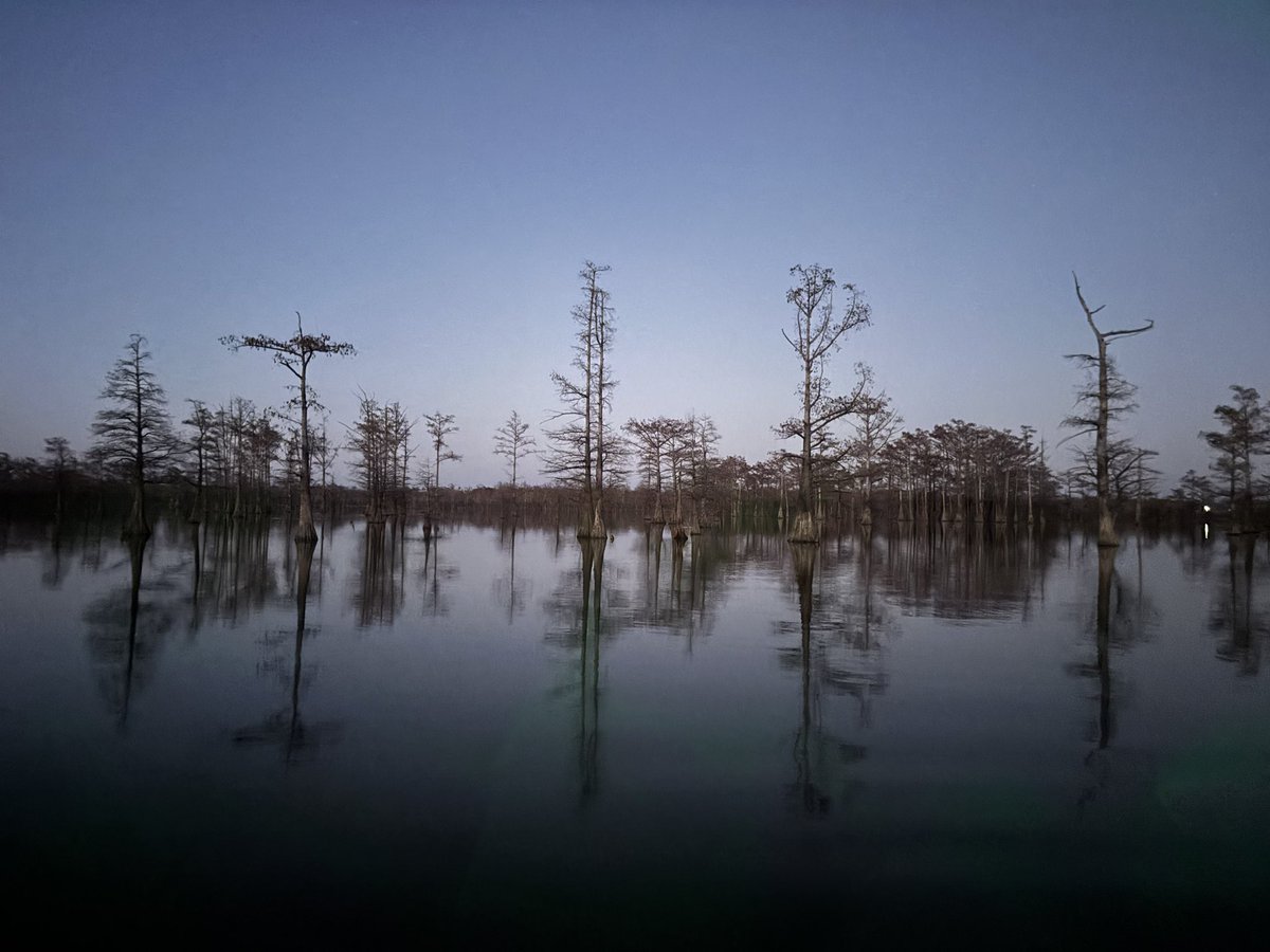 jason cates tweet media