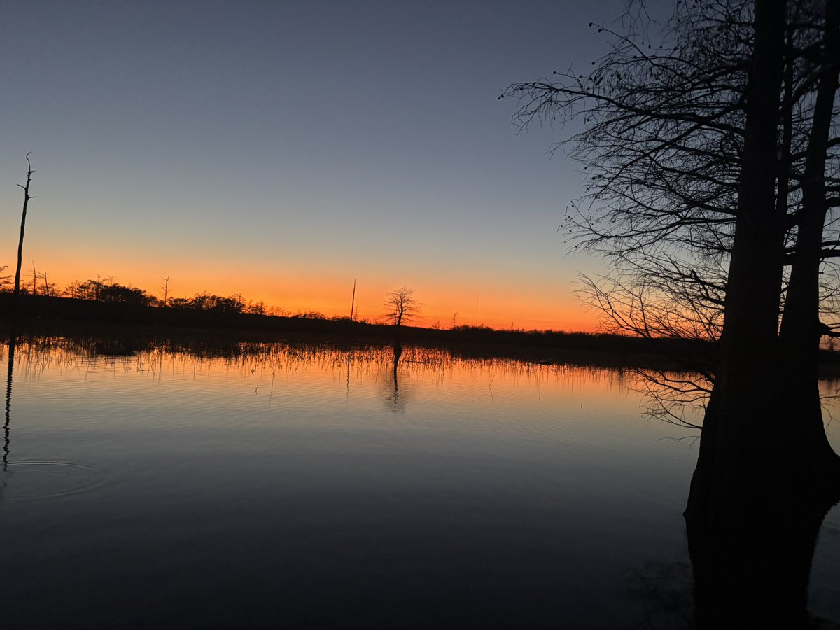 jason cates tweet media