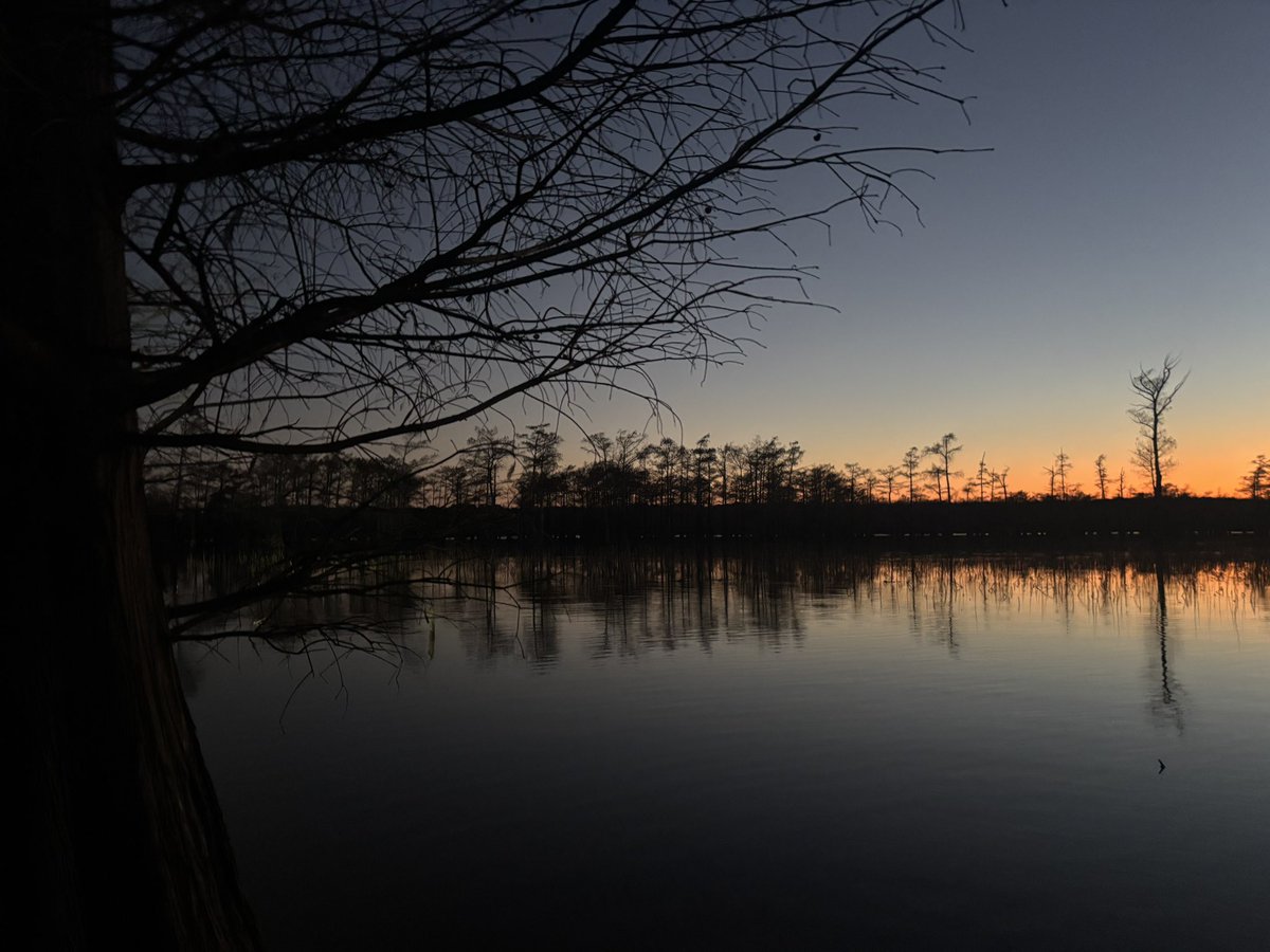 jason cates tweet media