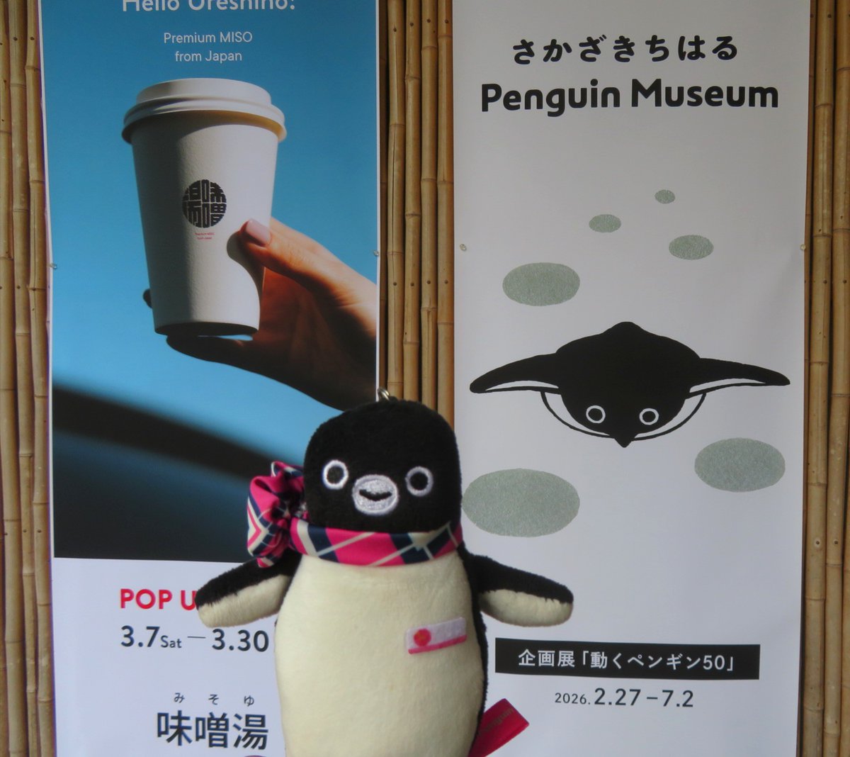 嬉野温泉 和多屋別荘さん ペンギンミュージアム第7回企画展『動く