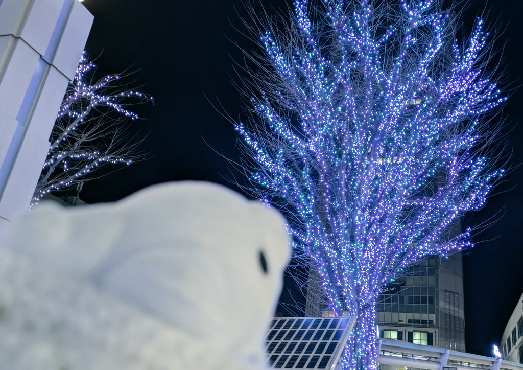 かわいいユキハミ tweet media