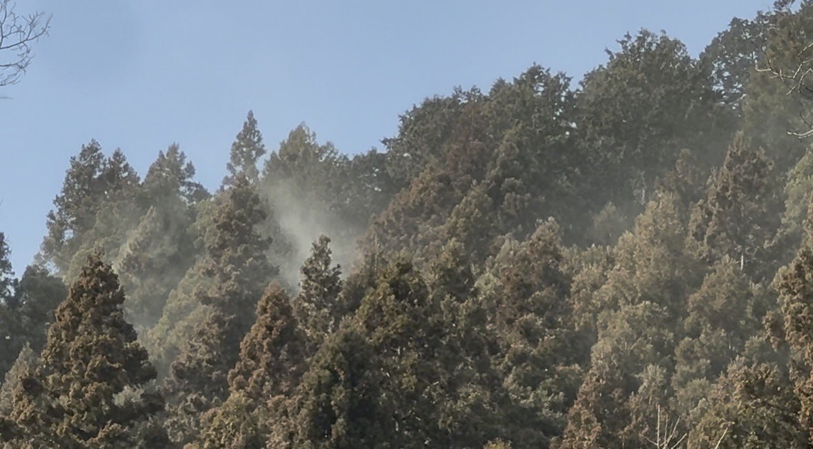 よしざわ@河原で飲むビールが最高🍻 tweet media