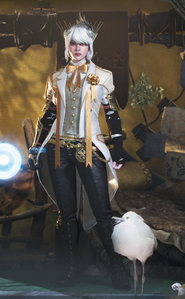 Zennore C. tweet media