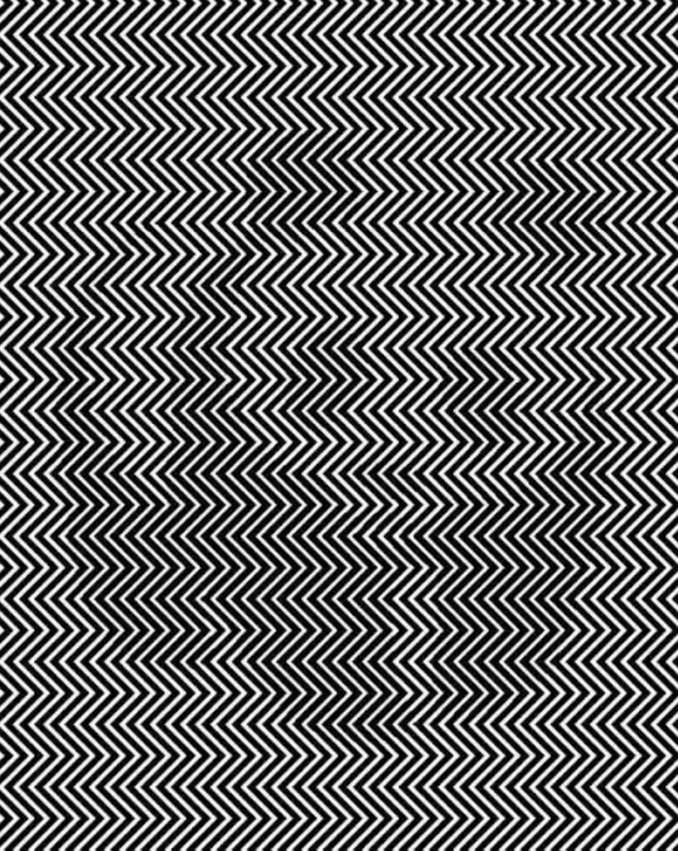 أصعب اختبار للعين 👀 على الإنترنت
ما الحيوان الذي تراه؟
ثلاثمائة وخمسون ألف ريال سعودي لمن يكتب الإجابه✔️ 
فالكم التوفيق:👈💌