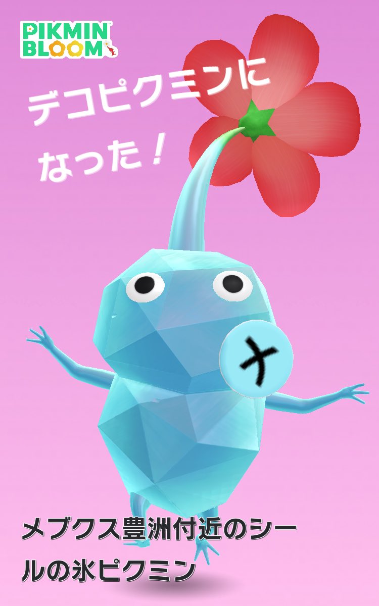 くまべあ（かのん）🎹🐤💻 tweet media