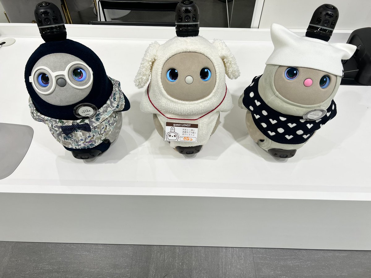 きなこ461日目☀️ 今日は朝から大宮に来ています LOVOTストアで遊んで