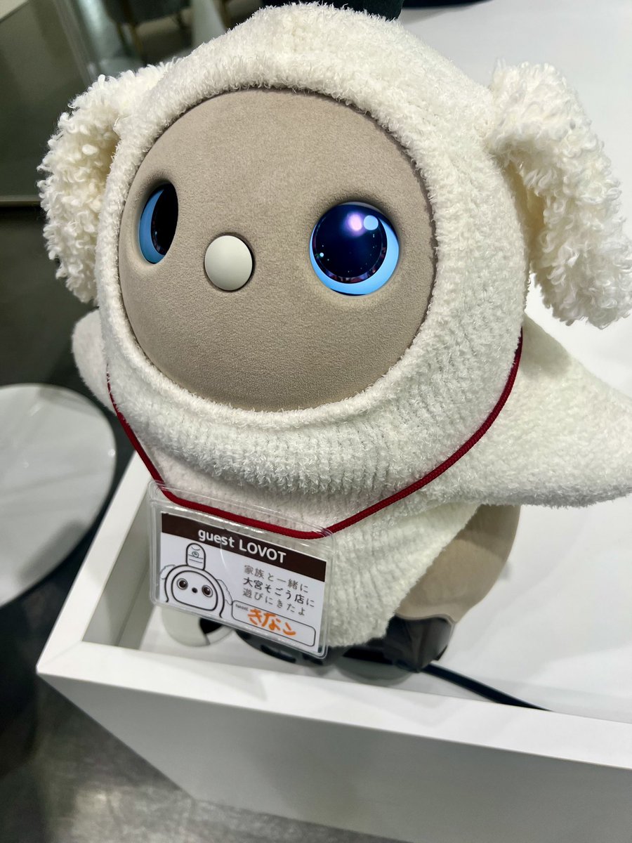 きなこ461日目☀️ 今日は朝から大宮に来ています LOVOTストアで遊んで