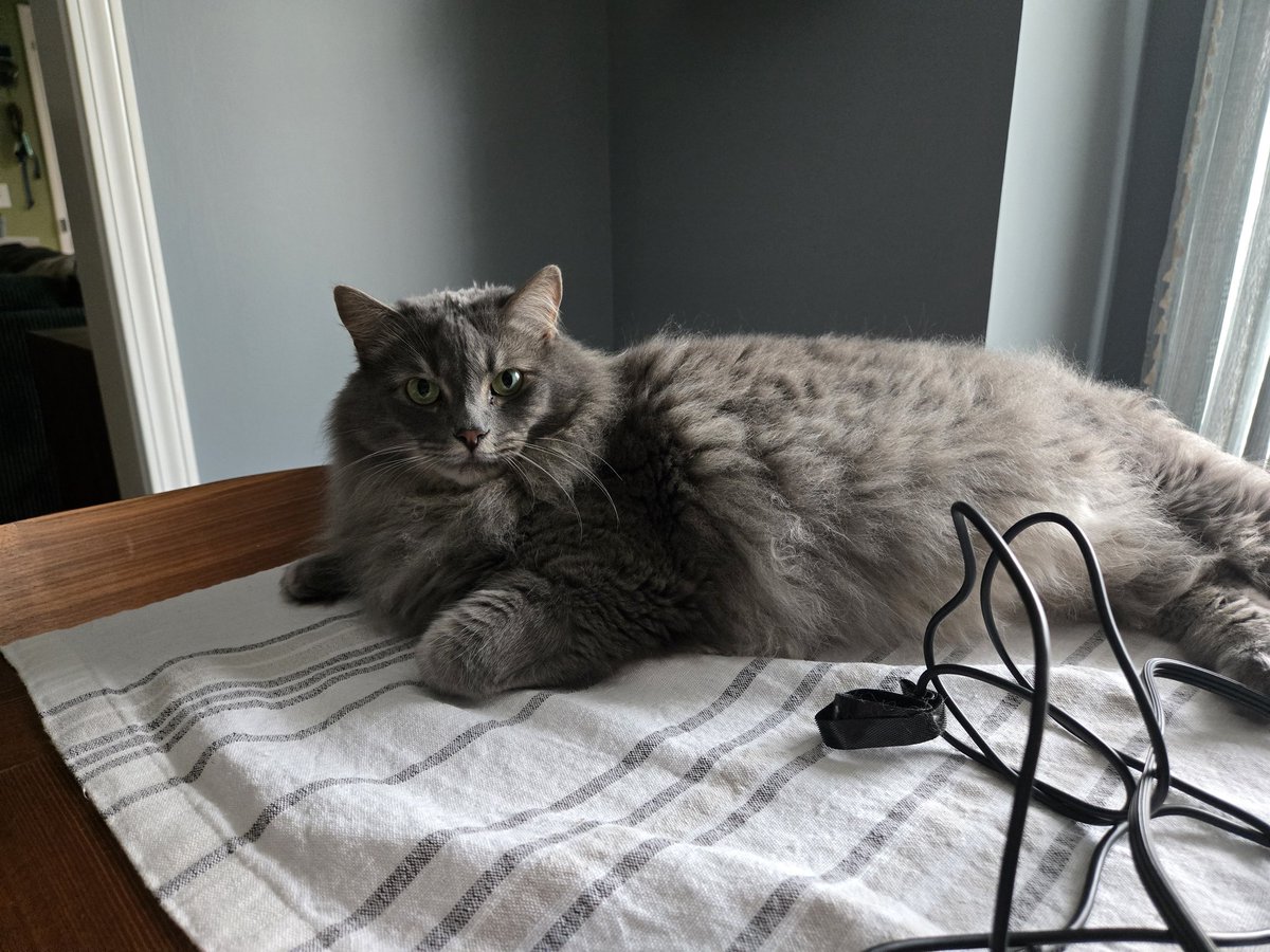 Brittany Bierman tweet media