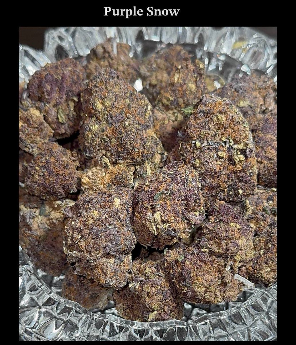 𝐖𝐇𝐈𝐓𝐄𝐂𝐘𝐂𝐋𝐄本店 tweet media