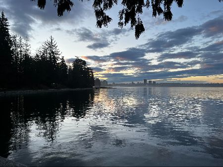 Chenmark tweet media