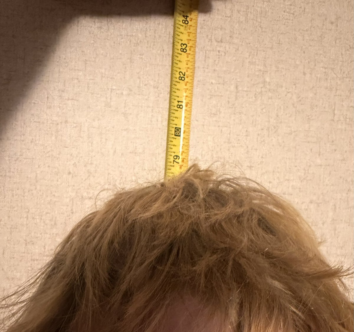 Jacob Queen tweet media