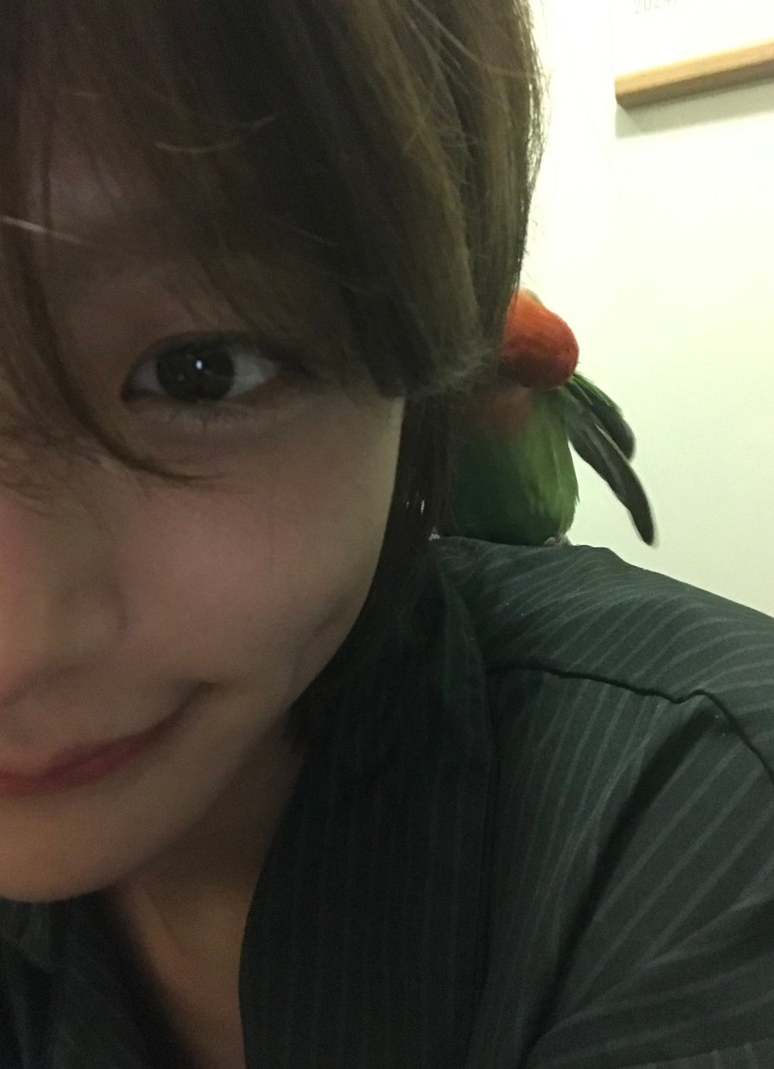 IDID_starship's tweet photo. https://t.co/nXnb9qgRwE