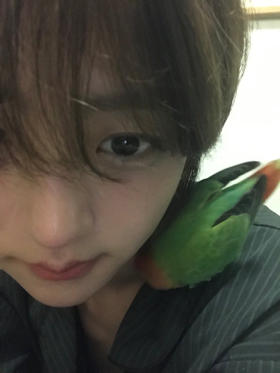 IDID_starship's tweet photo. https://t.co/nXnb9qgRwE