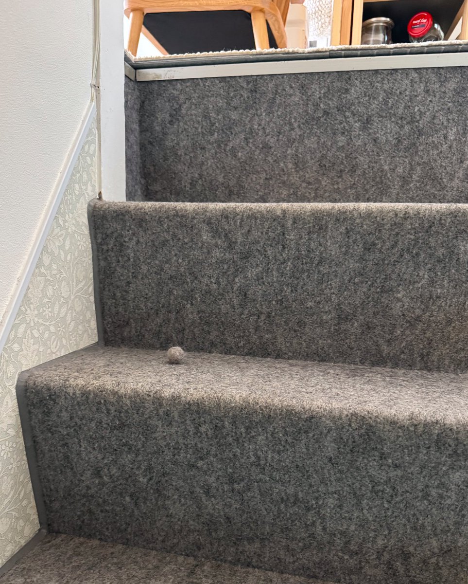 おもち (@omochiomoching) / Posts / X