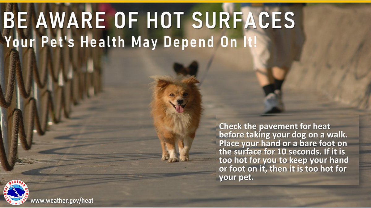 NWSHouston's tweet image. Don’t forget to check your back seat for your pets! Please do not leave your pets locked in a hot vehicle. Animals can die of heatstroke within 15 minutes. Look before you lock! #HeatSafety