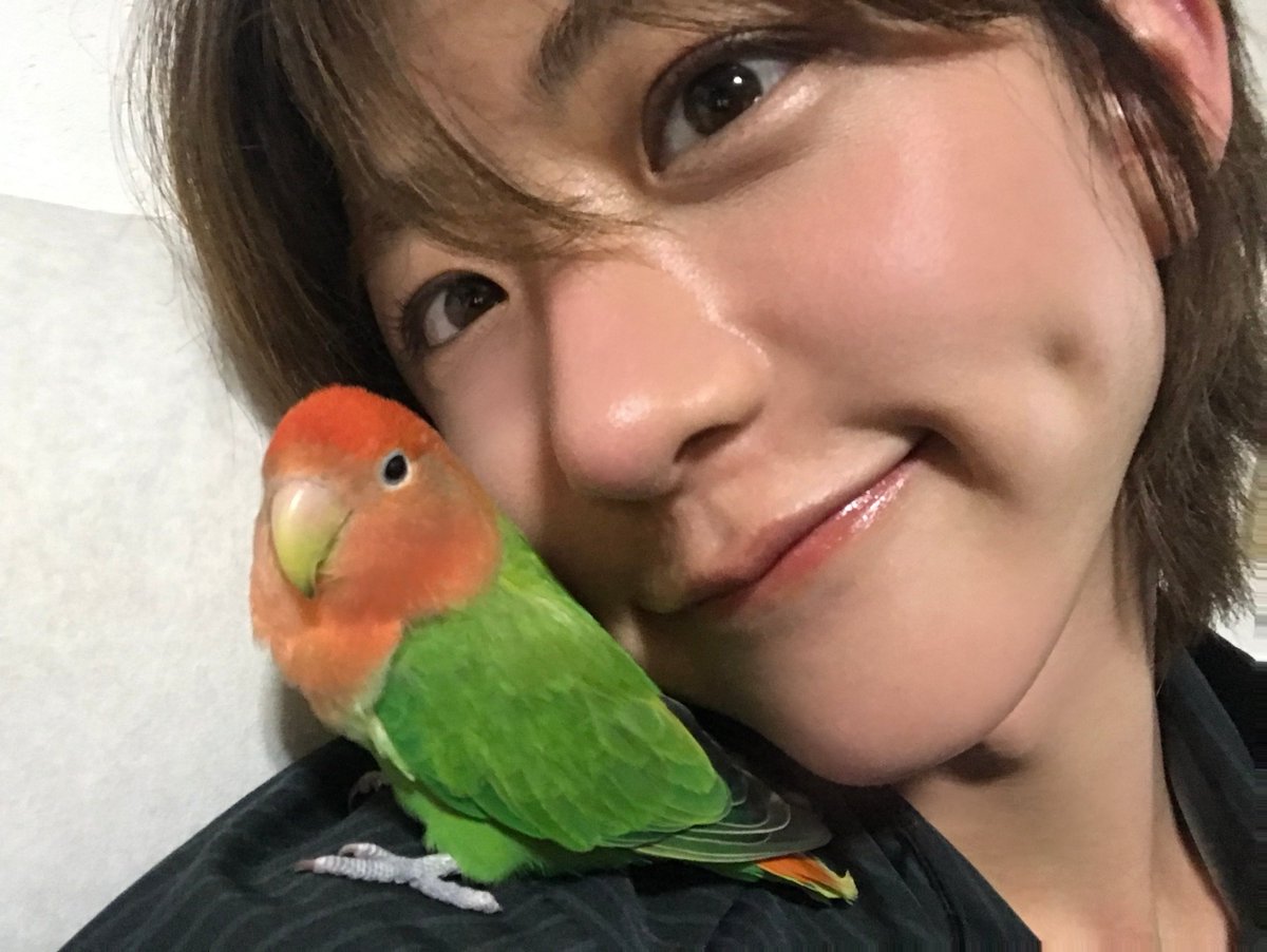 IDID_starship's tweet photo. [🌠] #박원빈_DID
🦜❤️

#IDID #아이딧 #PARKWONBIN #박원빈 https://t.co/QsktoNOUHh