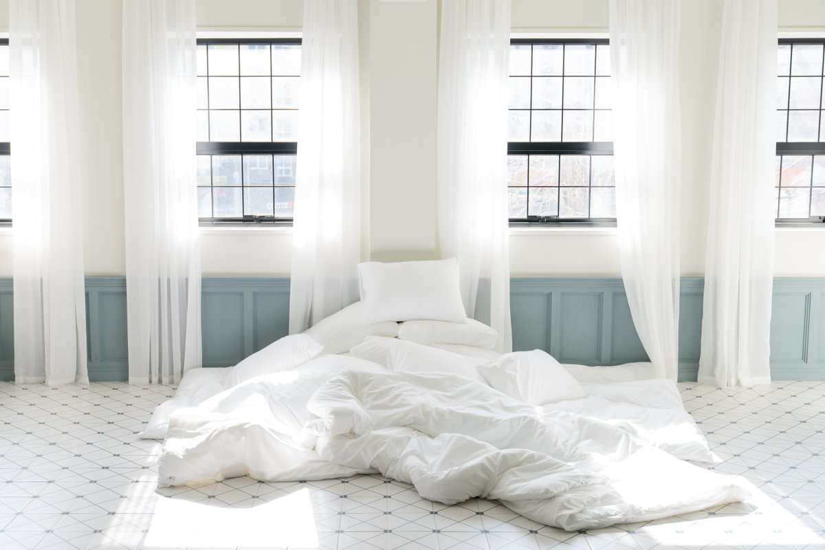 스튜디오 찬란(燦爛) tweet media