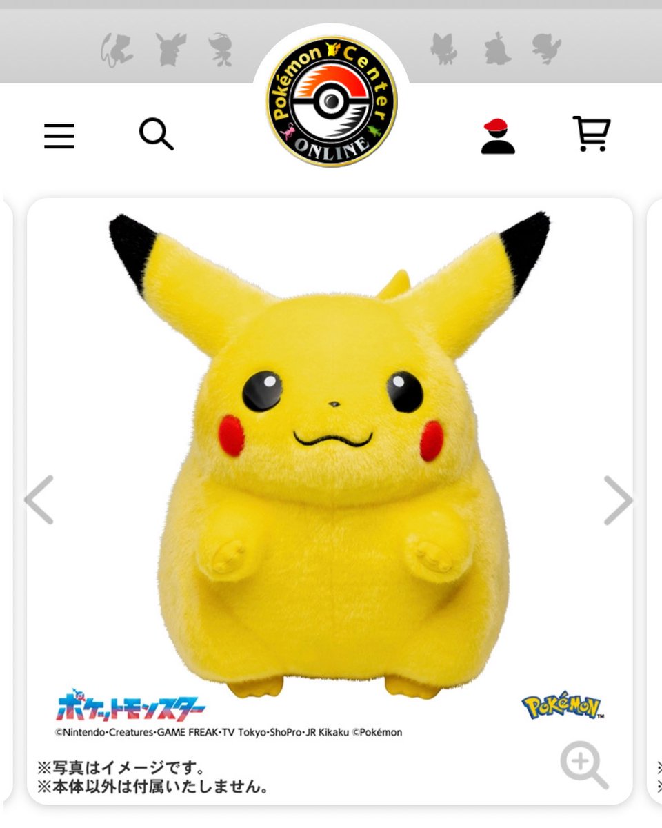 ポケセンオンラインのおかえりピカチュウってもしかしてタグ着いてない