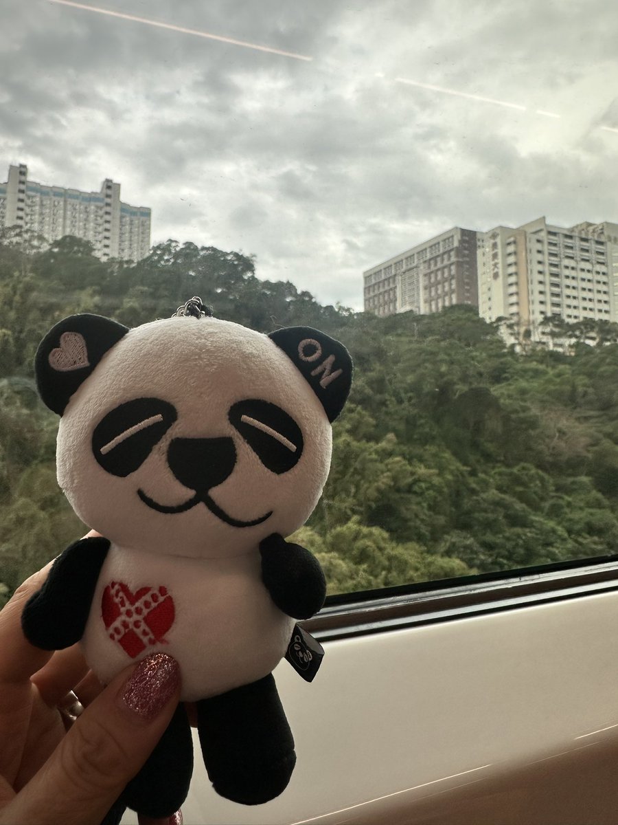 台北到着🛬🇹🇼
追いついた😆🫶🩷🐼