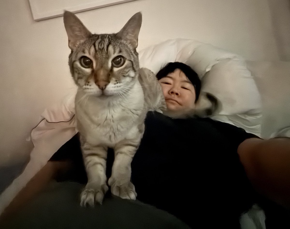 はい〜 #猫のいる暮らし