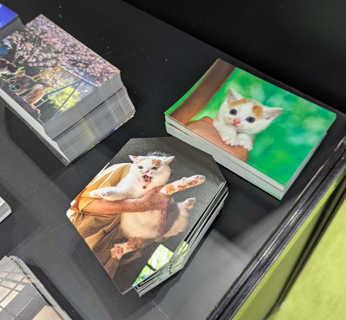 MARCO 🟡写真集「メイ先輩」🟡 (@marco74444) / Posts / X