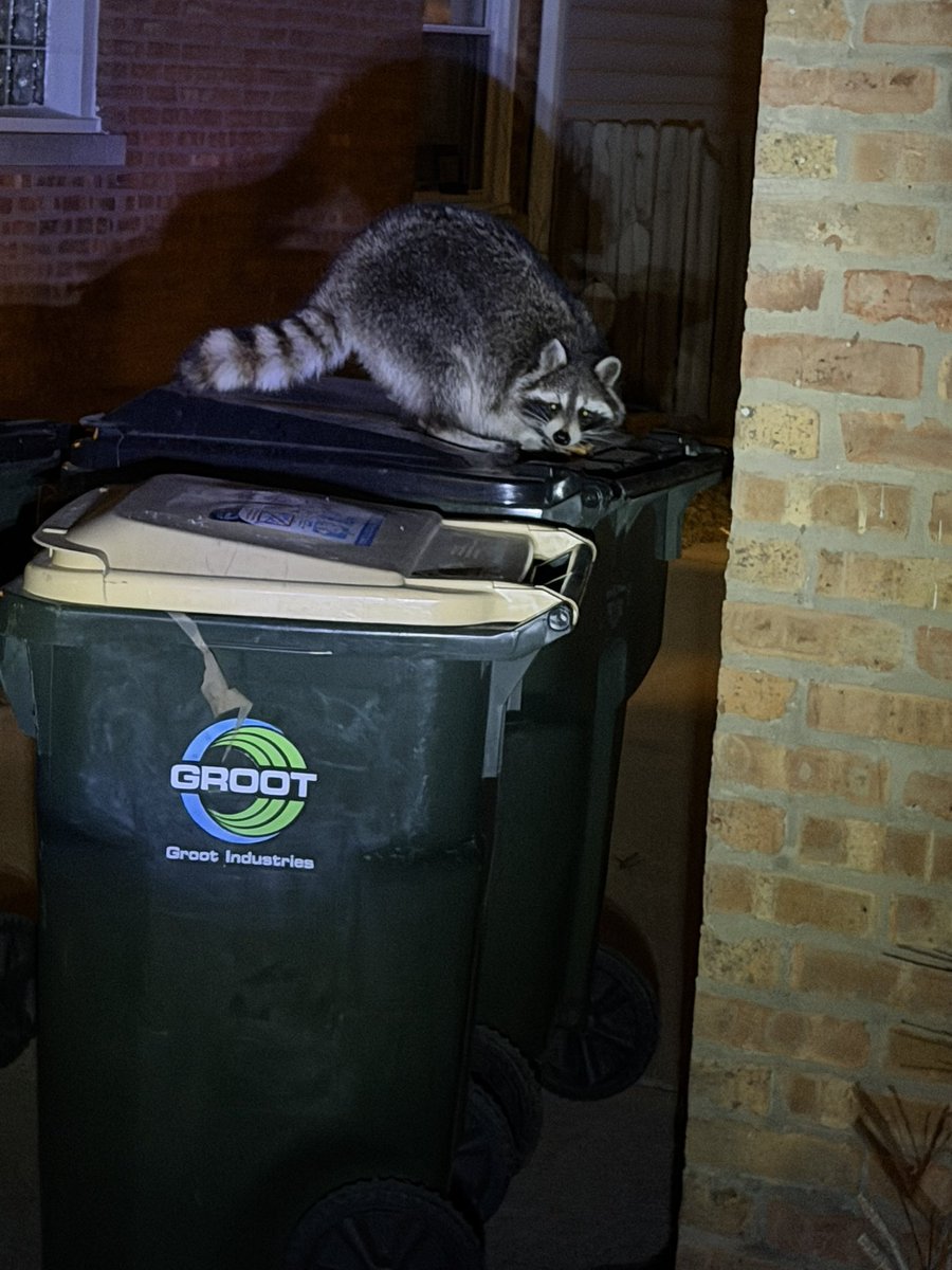 Traditional Thoughts tweet media