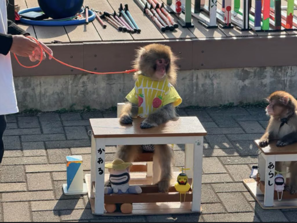 Peely.eth/Peely.sol🍌 tweet media