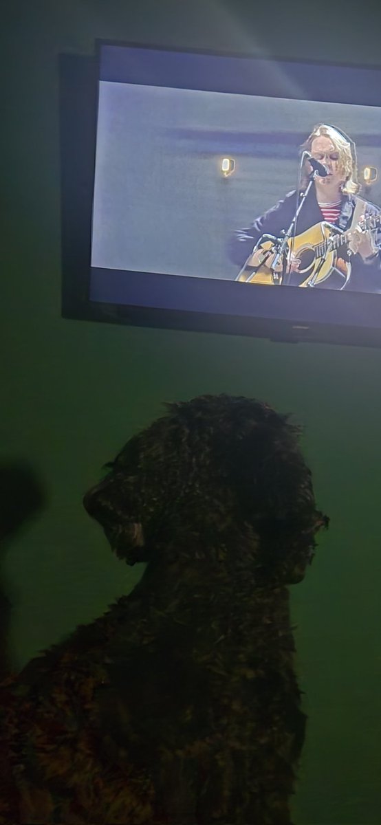 When your Dog is a MASSIVE <a href="/LewisCapaldi/">Lewis Capaldi</a> fan - He loves uncle Lewis