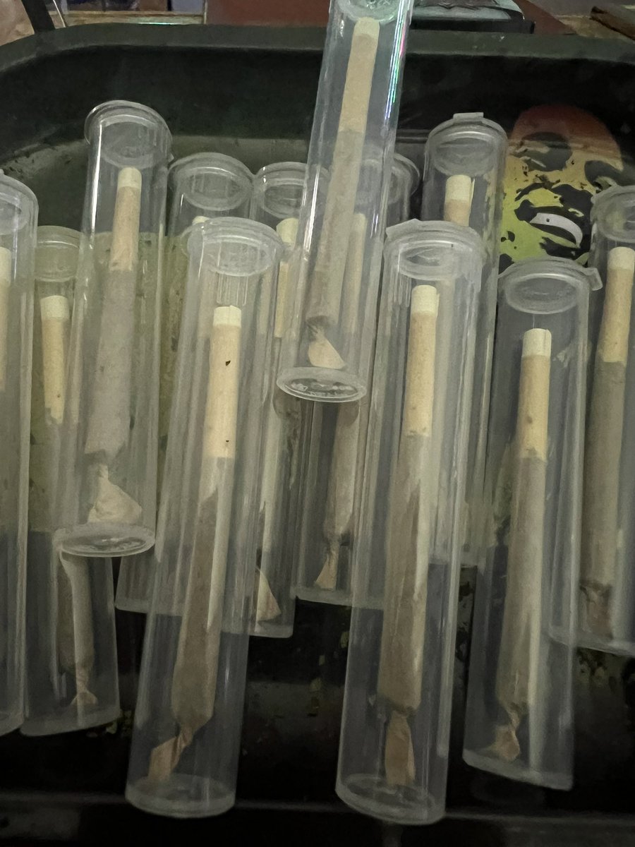 gc_yokosuka420's tweet image. 🤪GOOD CHILL 横須賀店🤪

本日2/28
12:00〜Open

🥦大人気過去最強joint🥦
⚾️ニトロO谷ターボ🥦

一吸い目から広がる濃厚な香りとフレーバー🌿
味・匂いともに完成度が高く、
体感重視派が選び続ける存在感のあるjoint🫠

1hitでアイスボング🧊で
吸うのも大人気😋

#横須賀中央 #CBD #joint