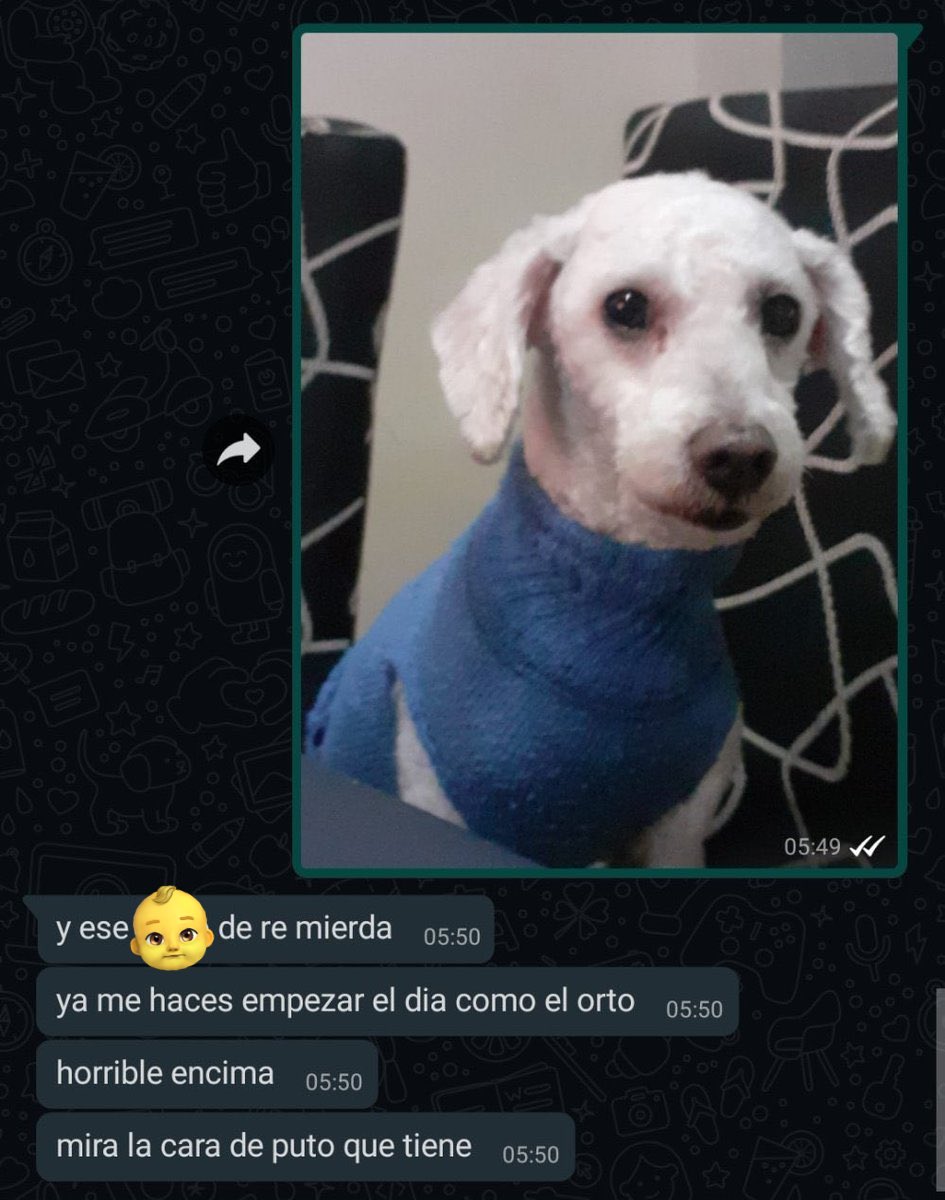 lrt que risa me da la cara de hyoga. queda viendo a ese pobre bebé así