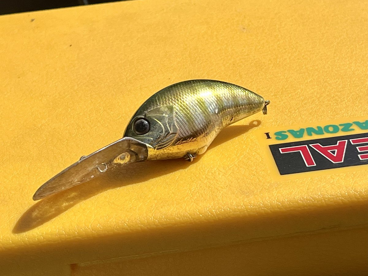 オムライス井上 (@monkey_inoue) / Posts / X