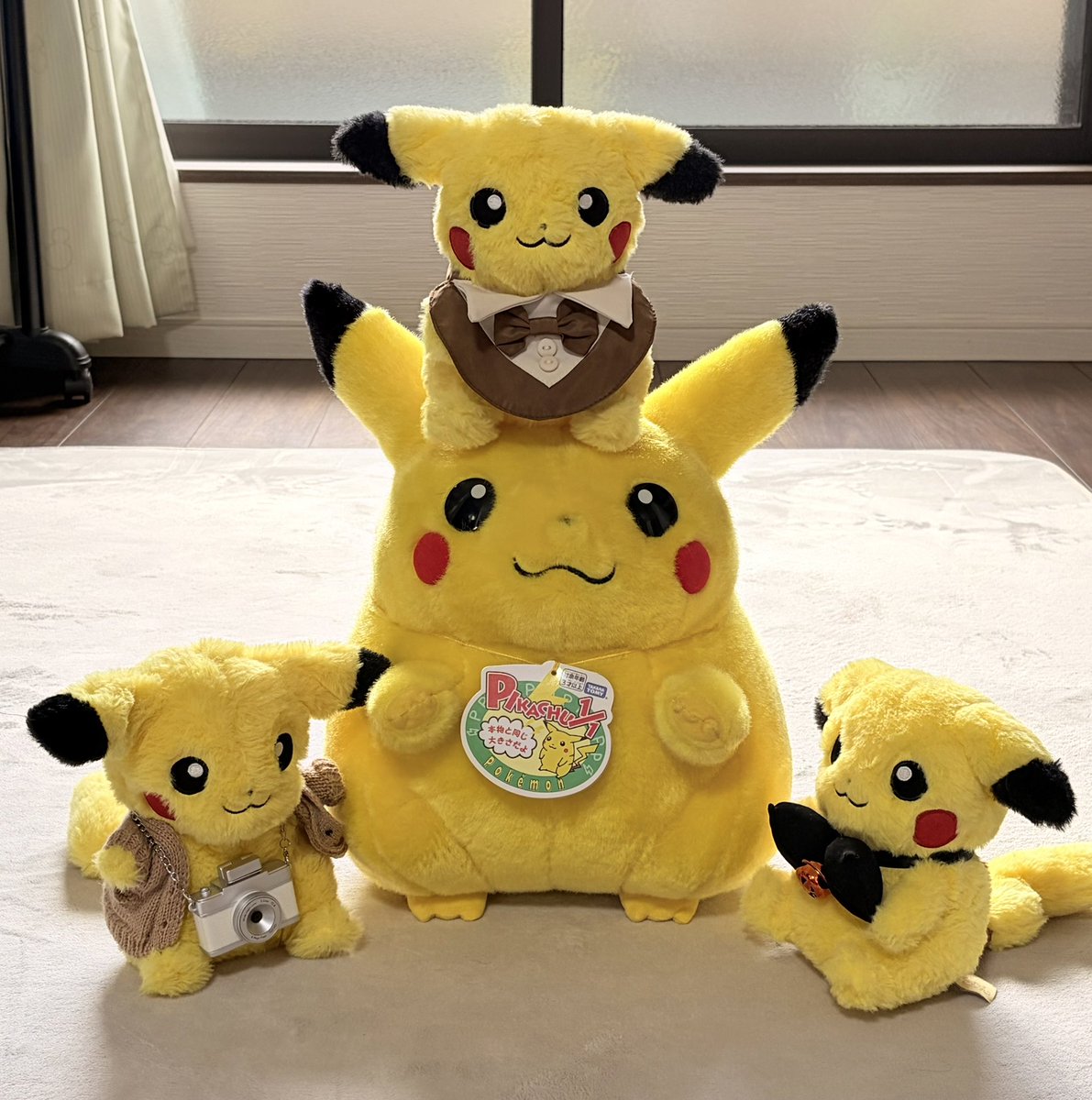 おかえりピカチュウ、とても歓迎されてる