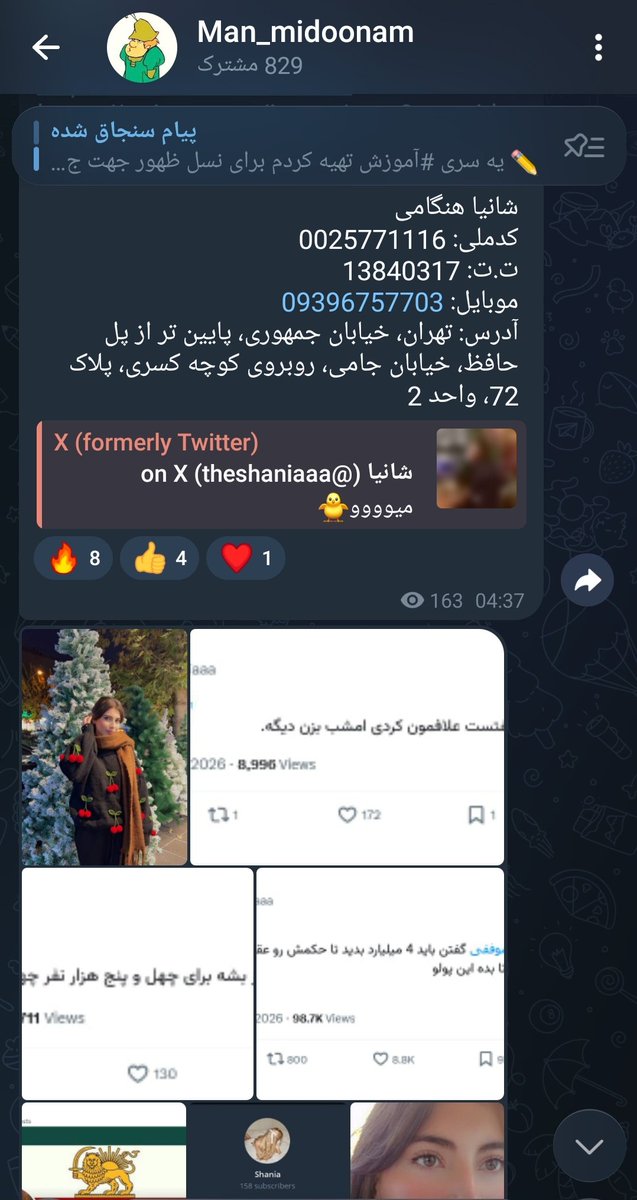 majarajo tweet media