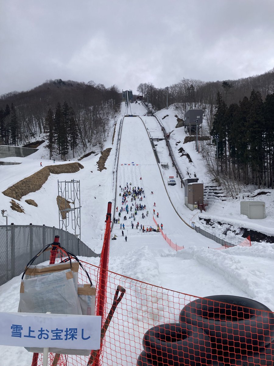 とよたま@ tweet media