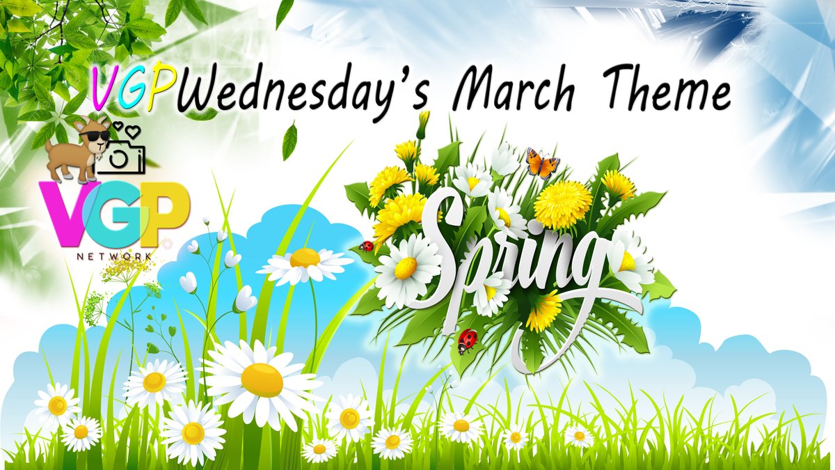 VGPNetwork tweet media