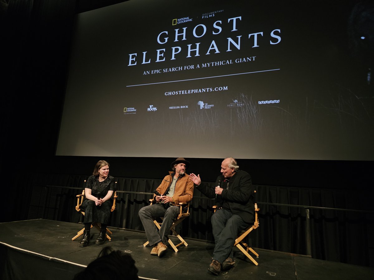 DOCOFILM (.com) tweet media