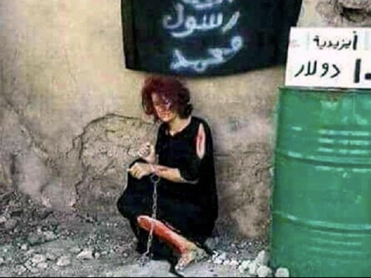 Shawna (شانا) Azad tweet media