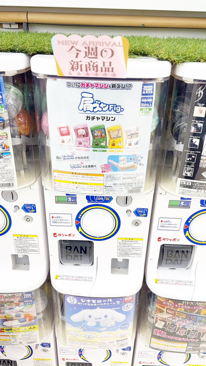 ━⃔腸 tweet media