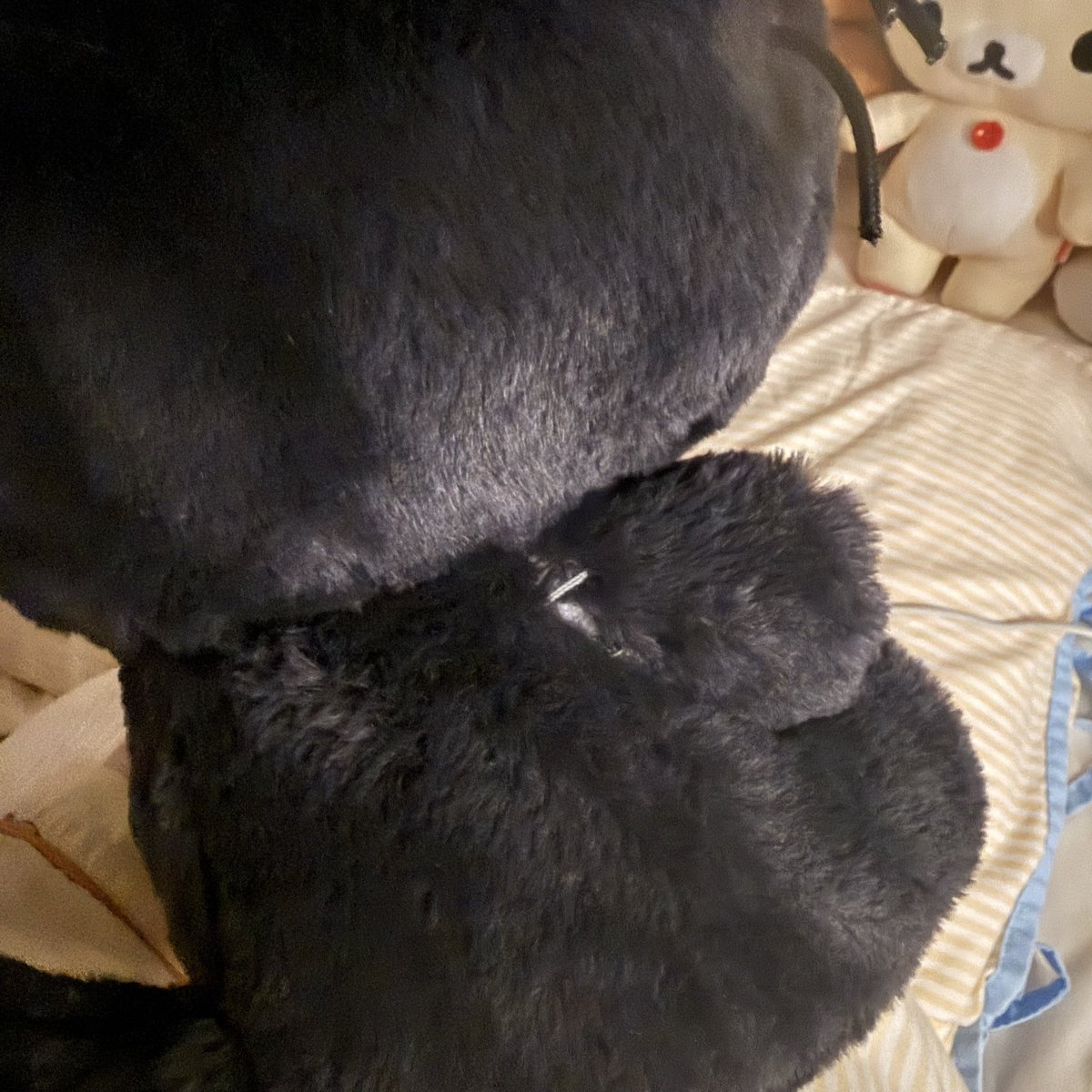 _kuro_bb's tweet photo. 내 쿠리인형 팔 떨어지기 직전 🥹🥹 
쿠리가방도 저부분만 터져브렀더 ... https://t.co/pwlzPC8DMQ