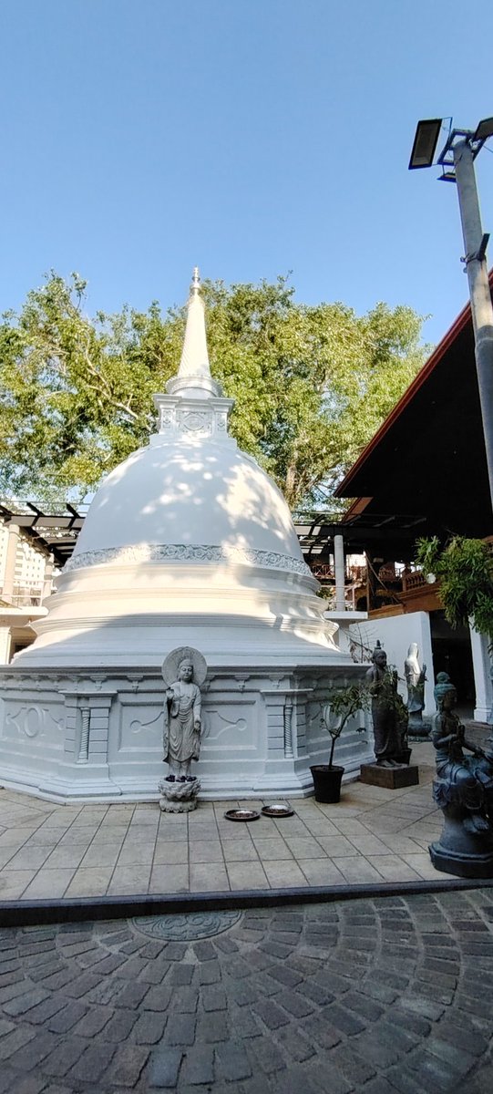 CAPT. PARA8OLIC TOBLERONE tweet media