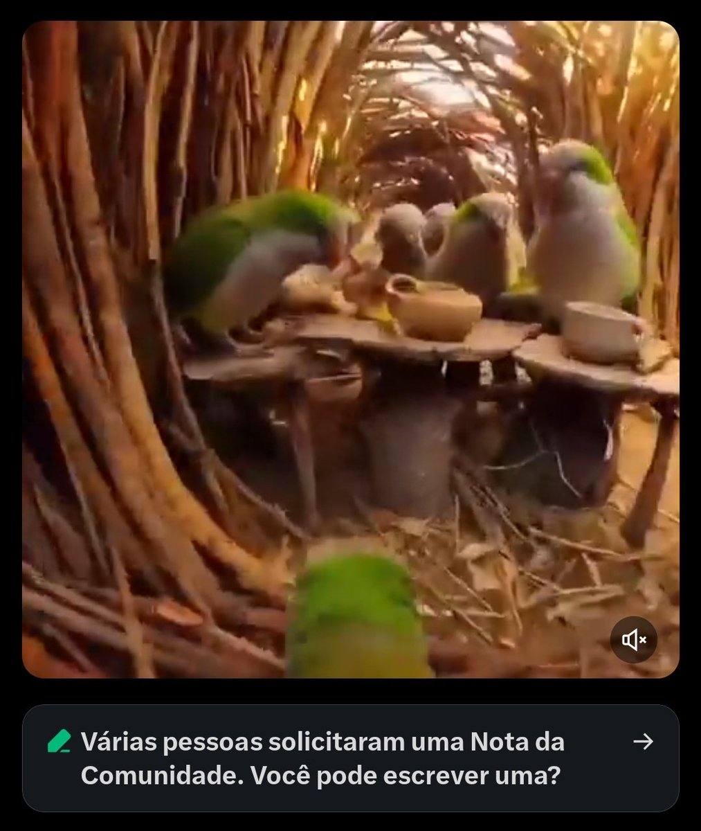 Observações Naturalistas tweet media