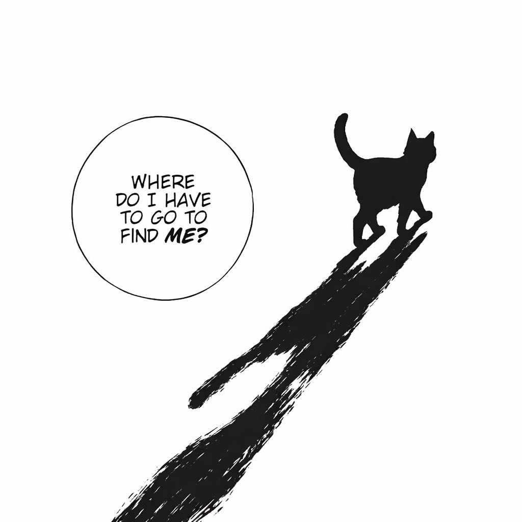 LiterallyMeCats (@literallymecats) on Twitter photo 