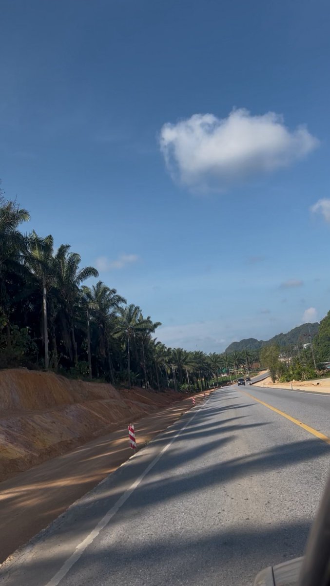 🤍🌻 tweet media