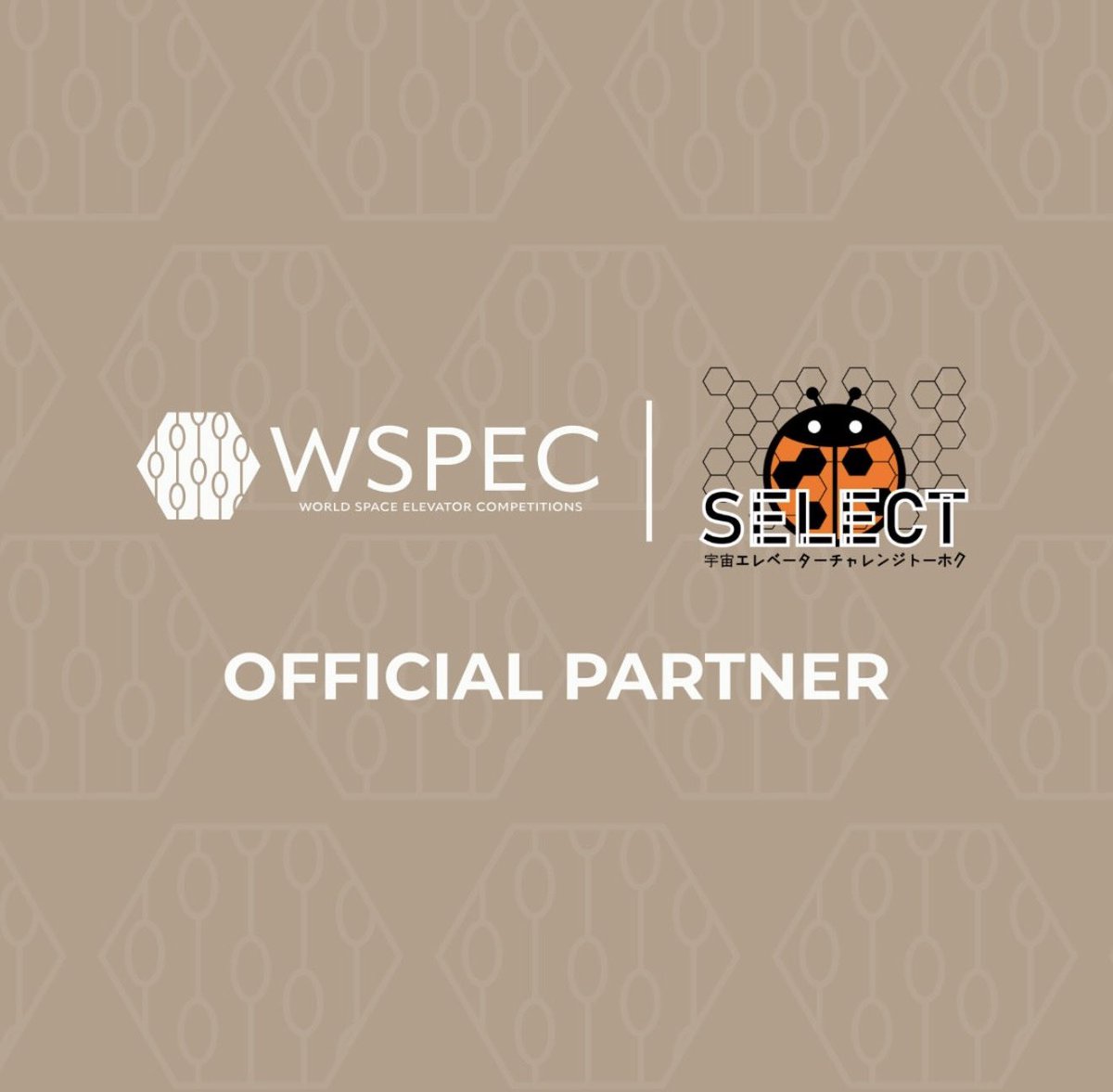 ECTo -SELECT広報班- tweet media