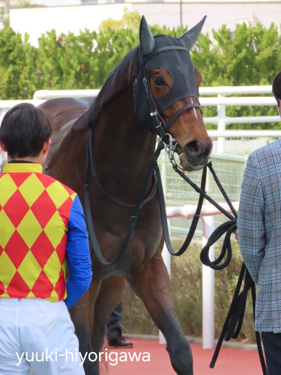 Yuuki Hiyorigawa【⋈】 (@yuuki_admiral) / Posts / X