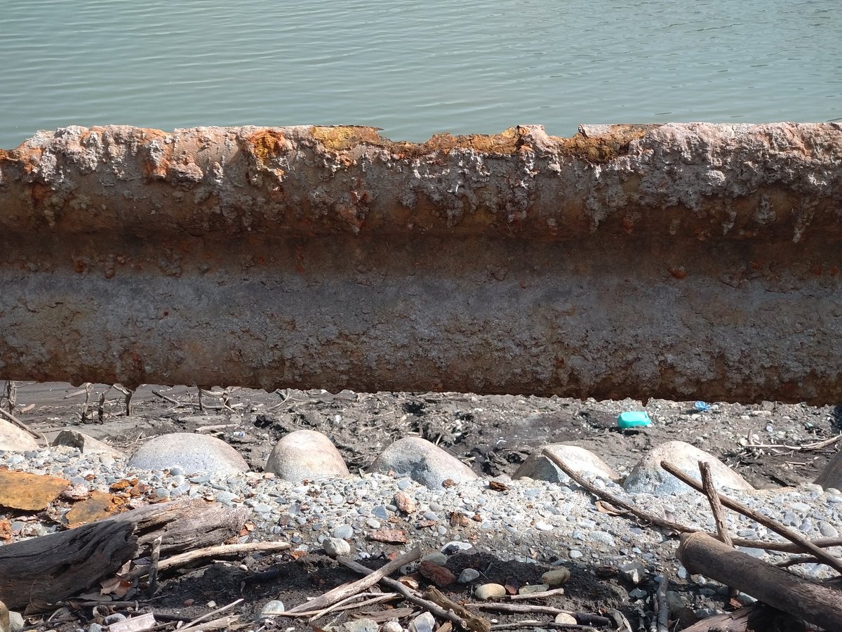 あれが噂のワゴンRか！
沈んでしまった旧道やガードレールまで出できてるのね