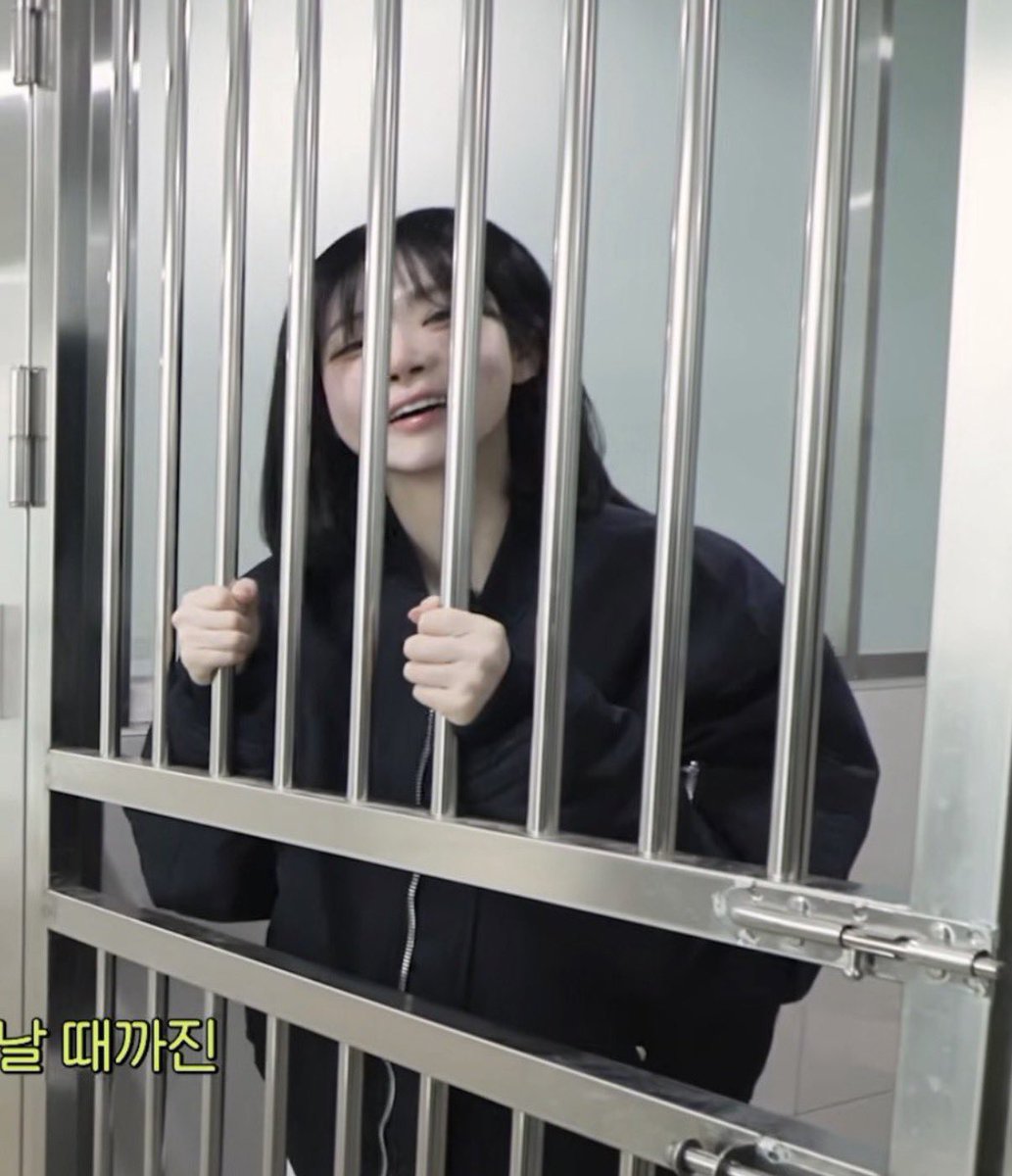 naky as cats 🐈‍⬛ tweet media