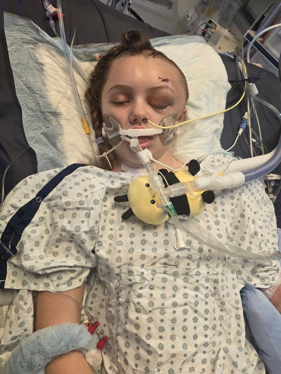 Update from Maya's mom

Hey everyone..
   So, I haven't done an update in a bit, as many people have mentioned.
Mayas progression in the initial phases were leaps and bounds, day by day. We were told on multiple occasions she wouldn't make it in various ways. 
At some point, the